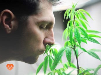 Детоксикация от марихуаны в Старом Крыме